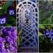 Lilacs & Lavenders ~ by happysnaps