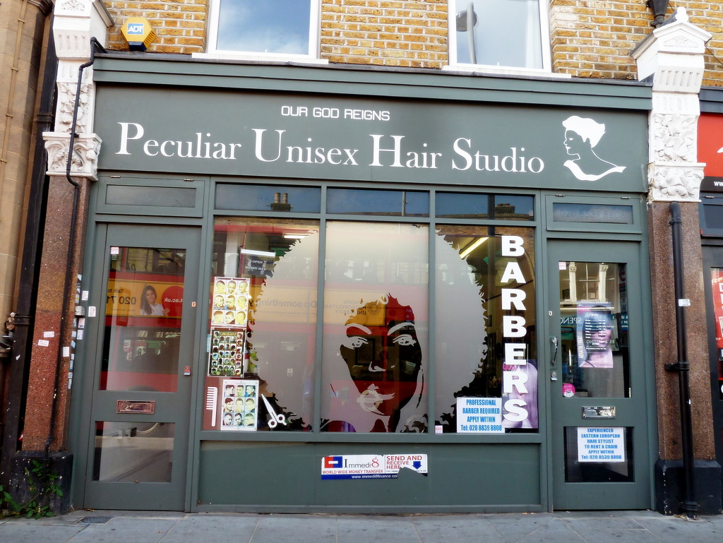 Peculiar Unisex Hair Studio by boxplayer