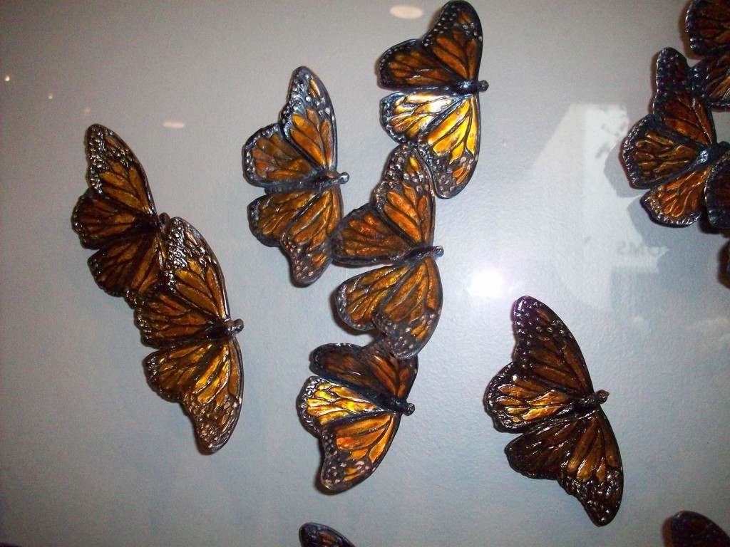 butterfly effect by stillmoments33