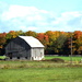 Barn and the beauty of autumn by bruni