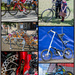Bike-collage by pcoulson