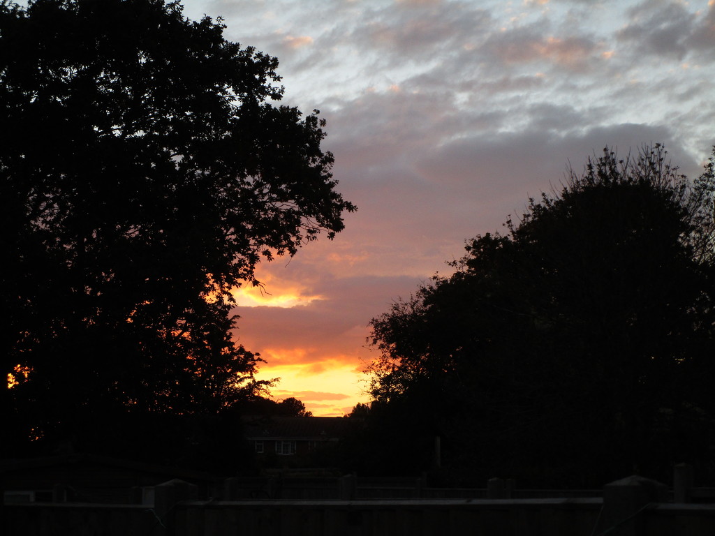 Sunset by davemockford