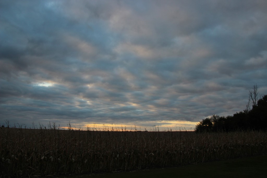 Textured Sky by bjchipman