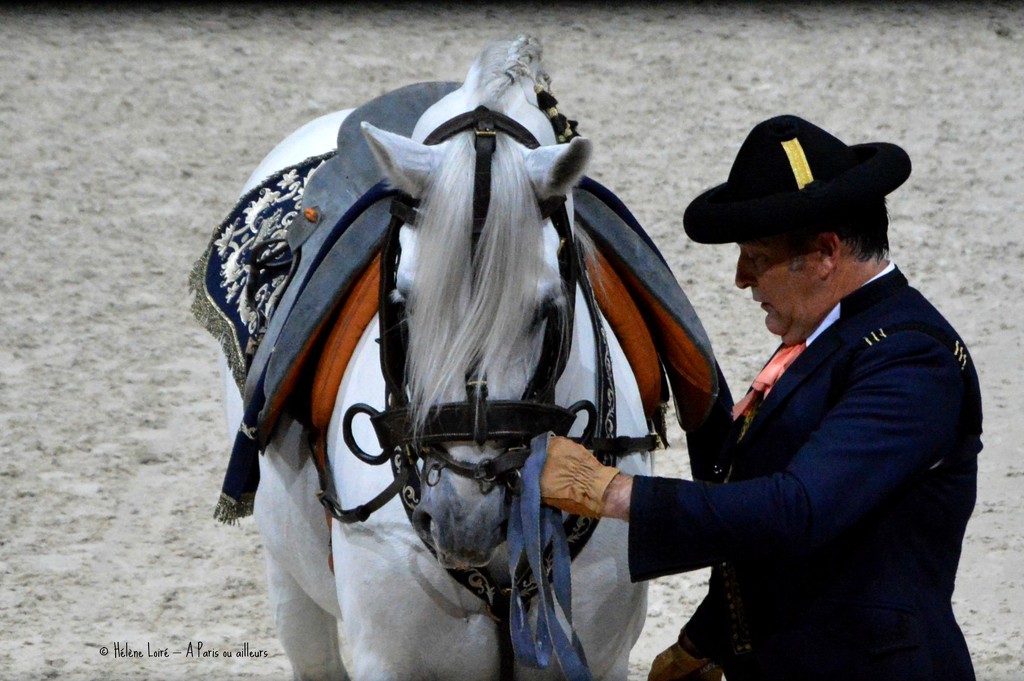 Royal Andalusian school of equestrian art by parisouailleurs