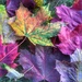 Autumnal by cookingkaren
