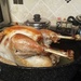 Thanksgiving Turkey by kimmer50