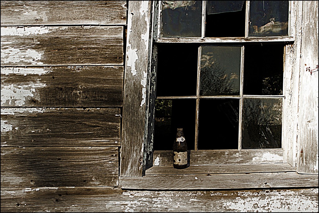 Beer Bottle on the Windowsill by olivetreeann