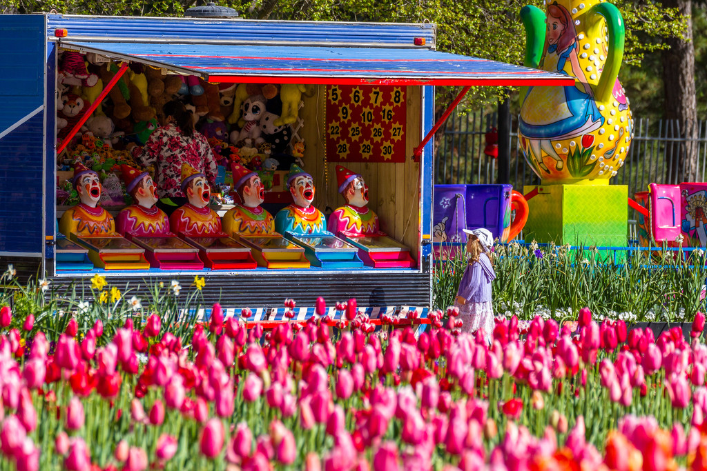 Colors of Floriade by pusspup