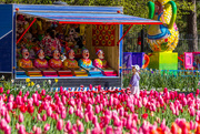 11th Oct 2016 - Colors of Floriade