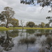 Flooded paddock by gilbertwood