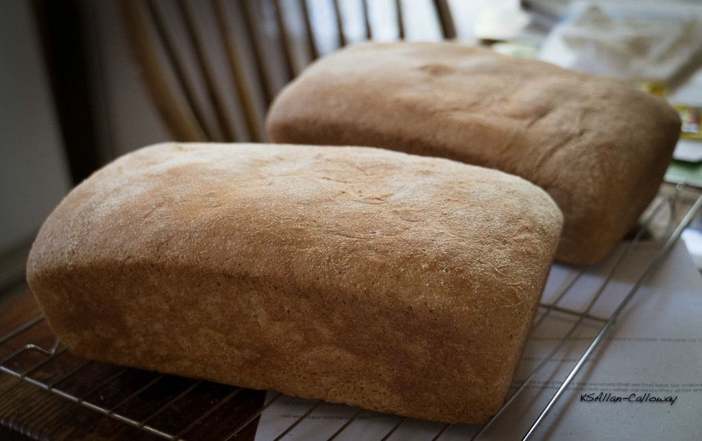 Bread by randystreat