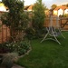 Back garden this evening  by cataylor41