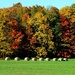 Baling Hay in October by farmreporter