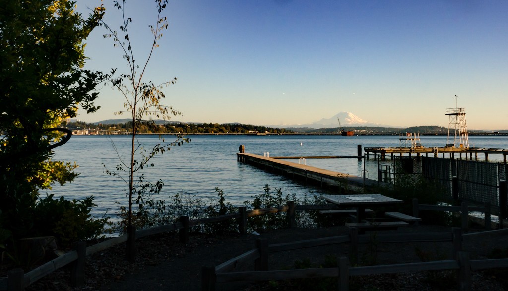 Lake Washington scene by cristinaledesma33