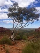 12th Oct 2016 - View from Kings Canyon