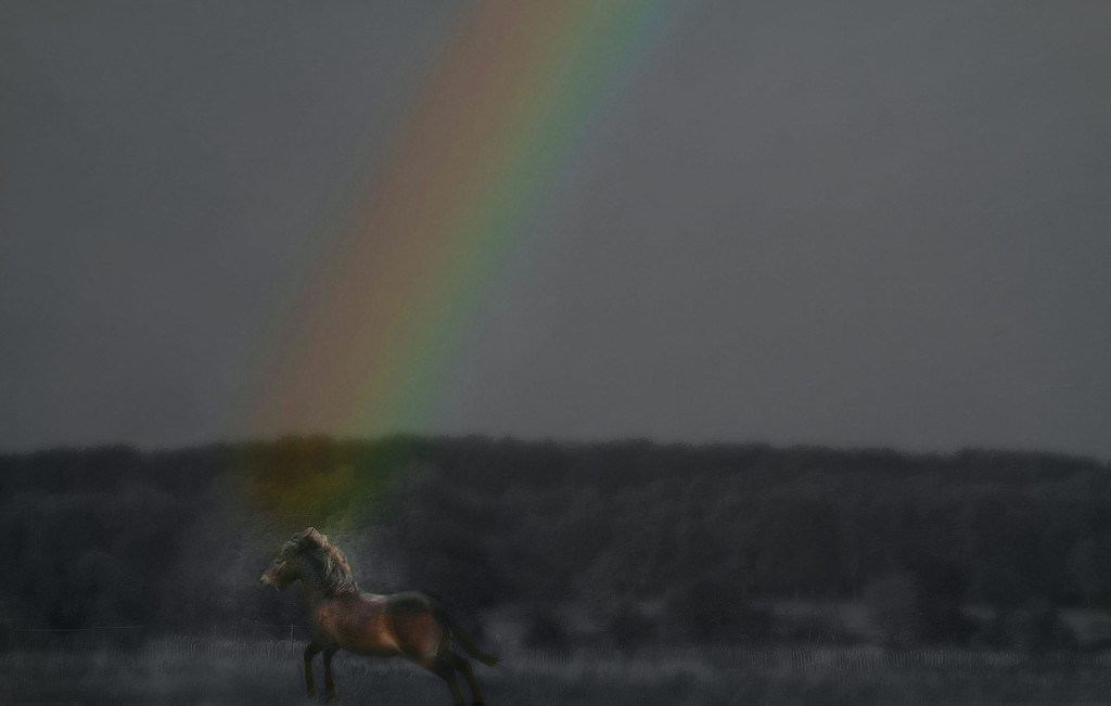 Running into a Rainbow by jesperani
