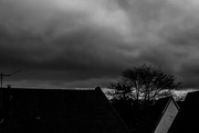 11th Oct 2016 - (Day 241) - Grey Skies