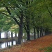 trees along a canal 2 by gijsje