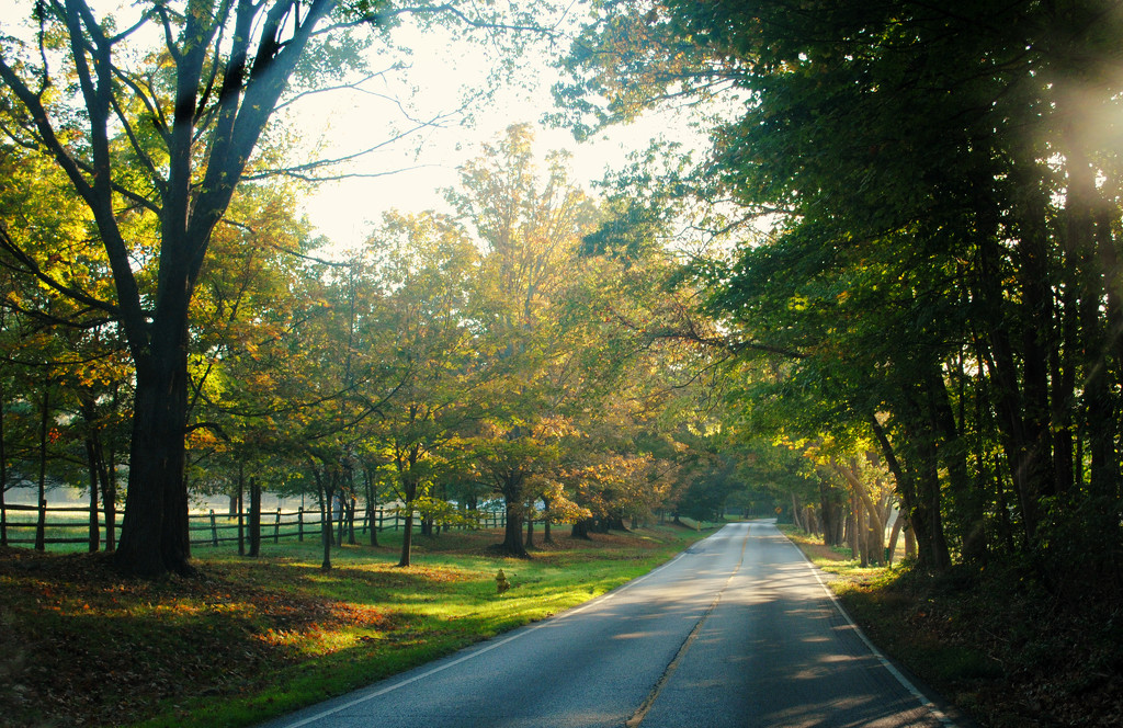 Some Ol' Country Backroad in the Autumn by alophoto