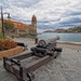 Collioure waterfront by laroque