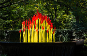 10th Oct 2016 - Fern Dell Paintbrushes by Chihuly