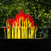Fern Dell Paintbrushes by Chihuly by fotoblah