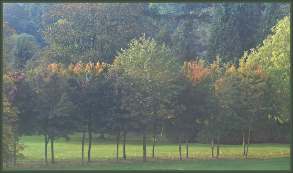 Autumn morning. by jokristina