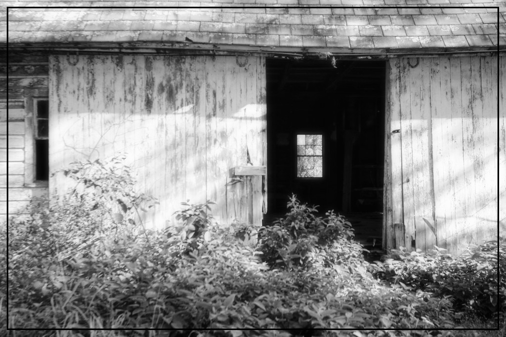 The Empty Barn by olivetreeann