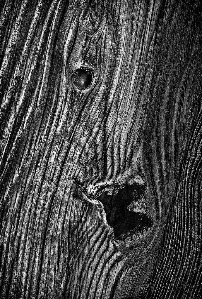 Wood grain by davidrobinson