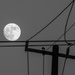 Alternate moon shot by danette