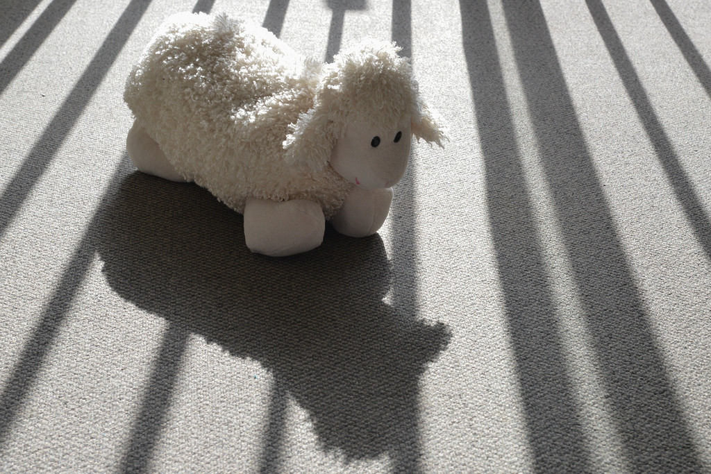 Sheep and shadow by jeneurell