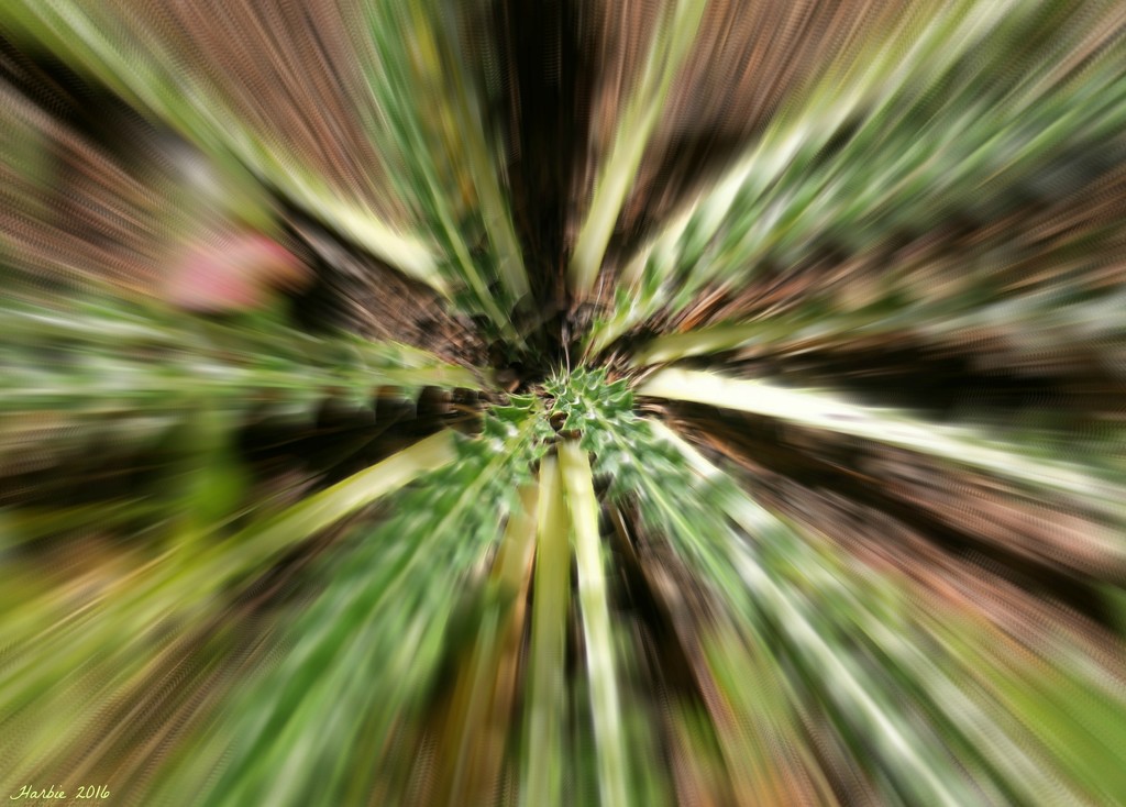 Plant Abstract by harbie