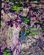13th Oct 2016 - Spiders web negative psychedelic 