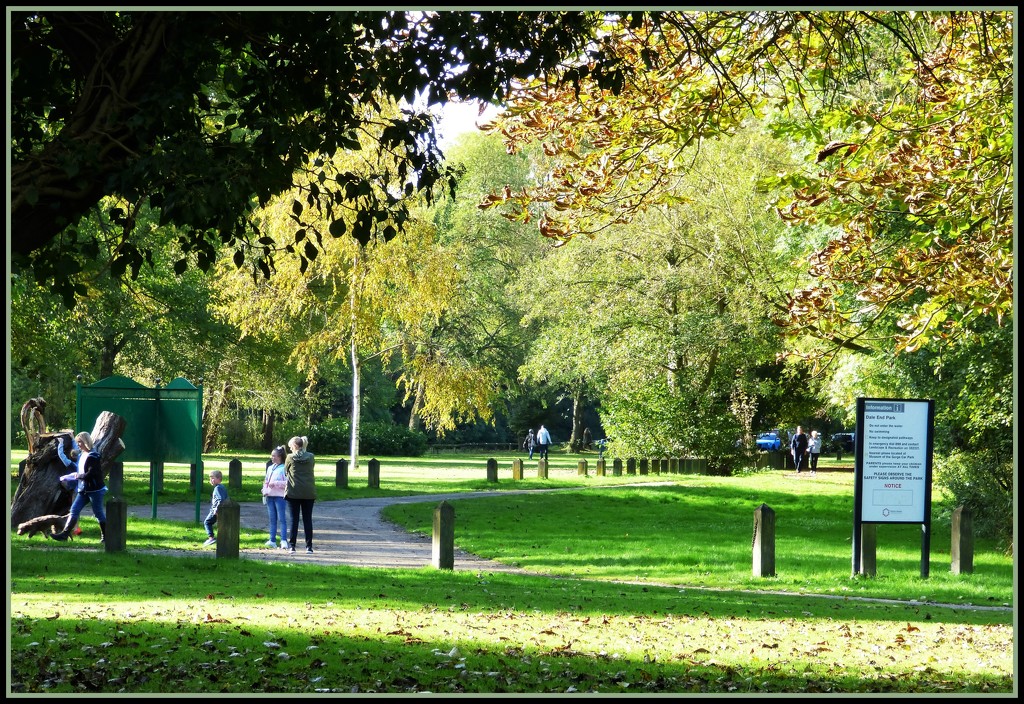 In the Park  - Dale End  by beryl
