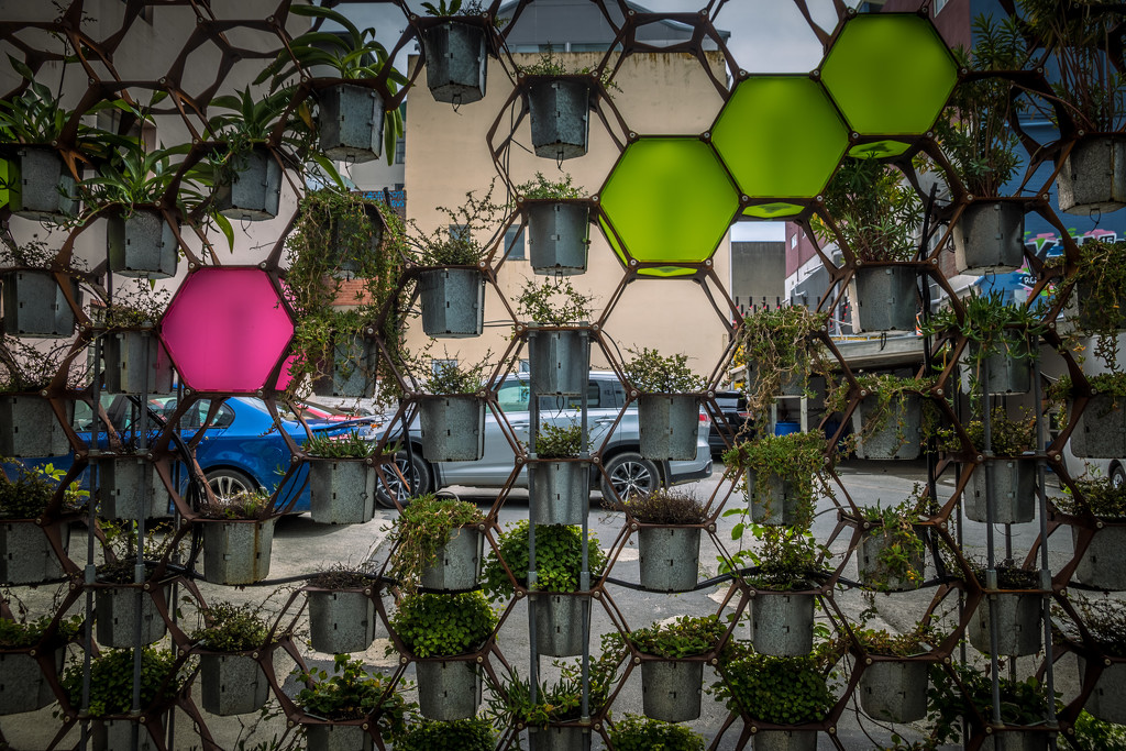 The Living Wall by helenw2