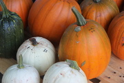 15th Oct 2016 - Pumpkins For Sale