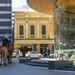 Camels in the City  by gosia