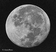 17th Oct 2016 - Hunter's Moon
