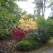 Autumn colours by cmp