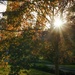 Precious autumn sunshine by cristinaledesma33