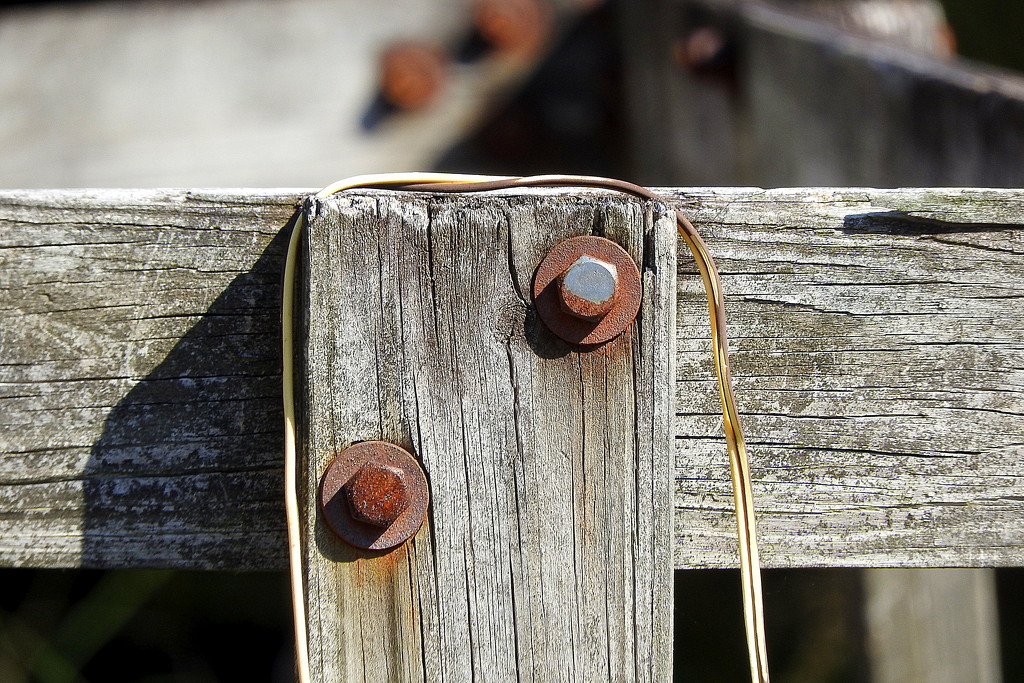 Old wood and rust by homeschoolmom