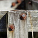Old wood and rust by homeschoolmom