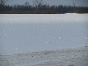 1st Feb 2009 - wind blown snowballs