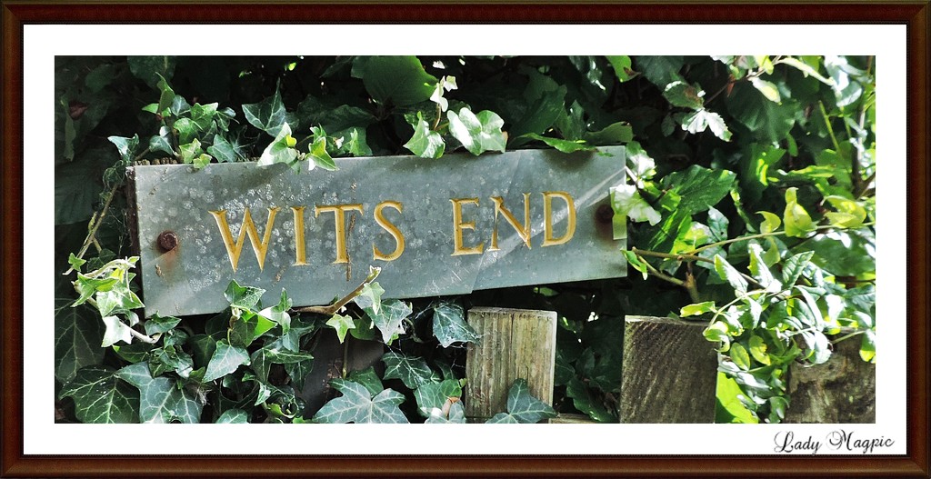 I'm at my Wits End by ladymagpie