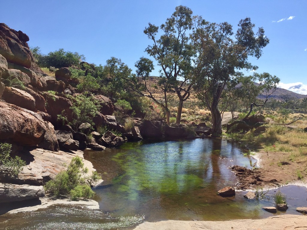 Water hole at Pukatja by susiangelgirl