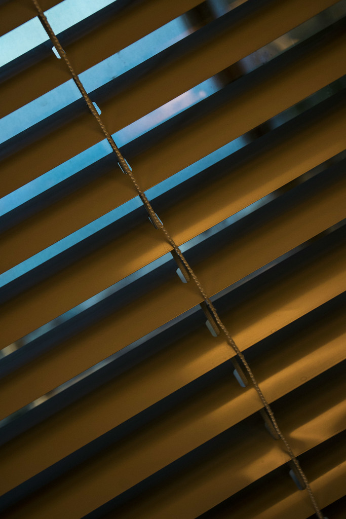 blinds by summerfield
