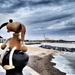 Dog on Lowestoft sea front by richardcreese