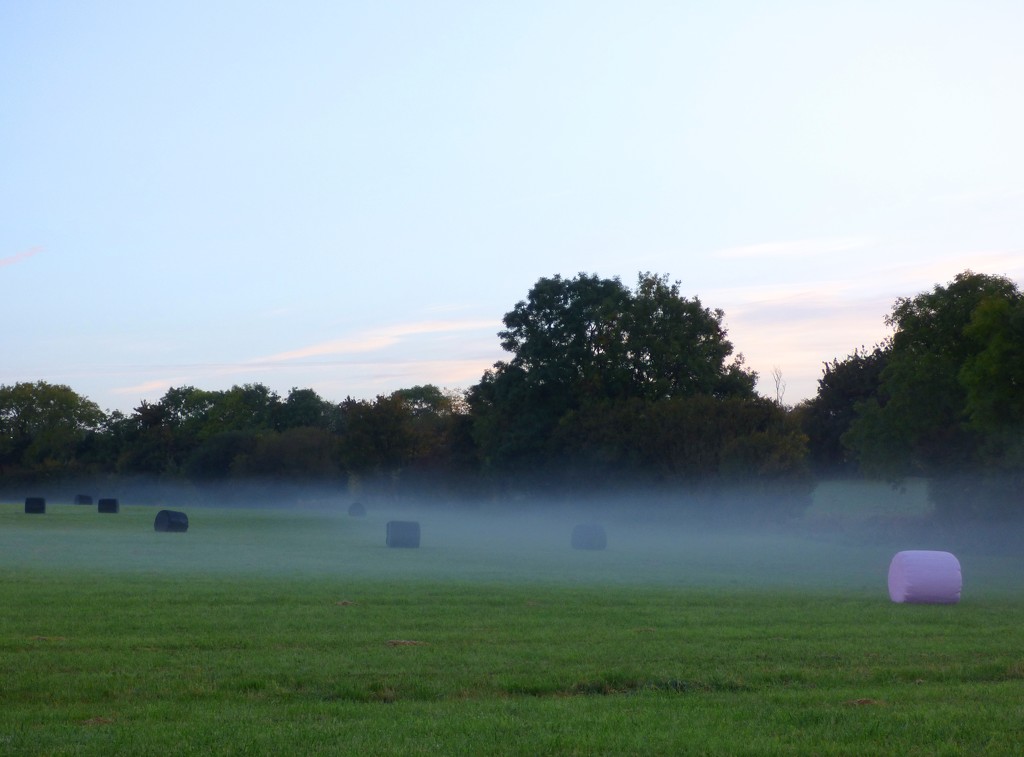 Misty morning by julienne1