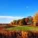Colorado Autumn Drive By by irishmamacita10