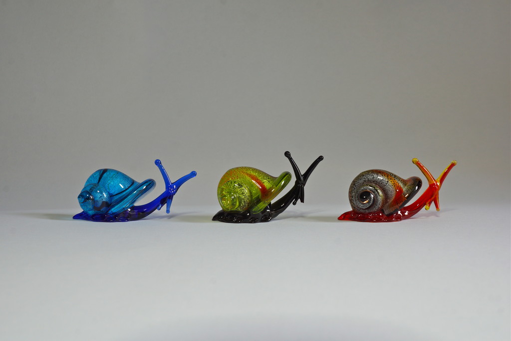 SPEEDY SNAILS by markp